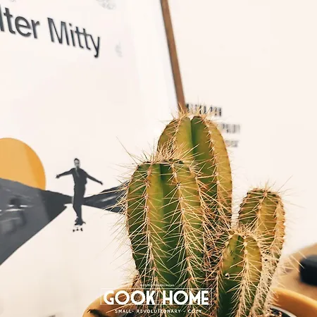 Gook Center * Jerez de la Frontera